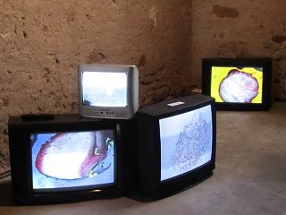 tvs