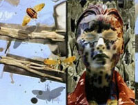 the insects.jpg