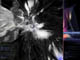 MAGNETIC BEHAVIOR