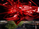 ROSEA 1024x768
